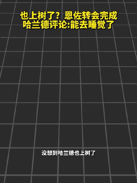 哈兰德熬夜等恩佐官宣，秒回可以睡觉了