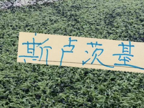 还没有到2个月！球迷又想念斯卢茨基