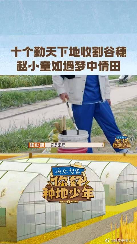 赵小童陈少熙探访清水河高标准农田，被人体力学镰刀吸引