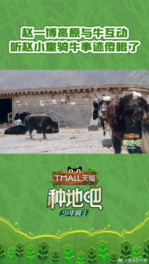 在囊谦追着牛牛跑！得知@种地吧赵小童 的骑牛事迹后，脸上写满了疑惑