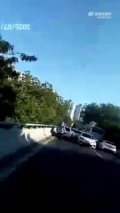 交警乘坐公交车告诉司机：门别关啊师傅！