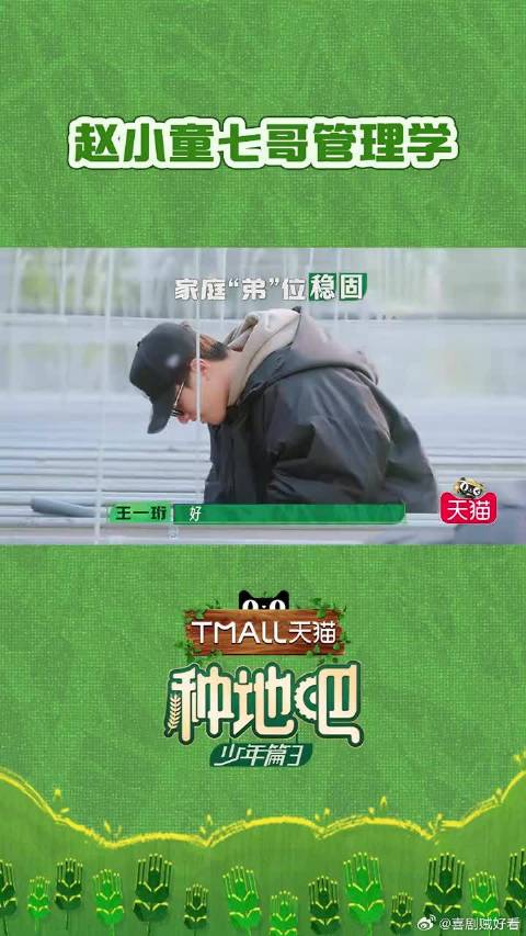 赵小童七哥管理学