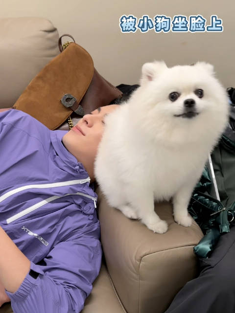 王鹤棣分享与小狗玩耍日常