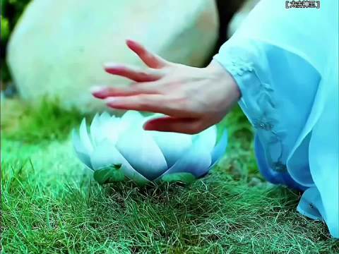 你救我一生，我护你一世