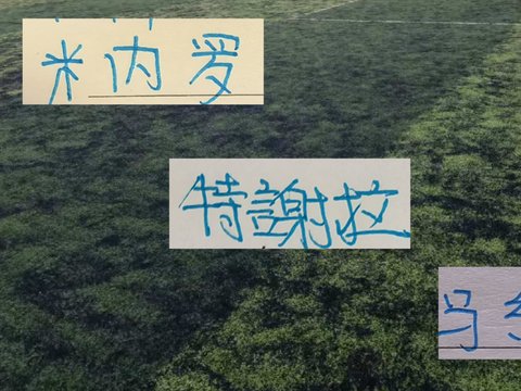 御三家年底合同到期外援 申花有米内罗等3人 山东泰山有2人