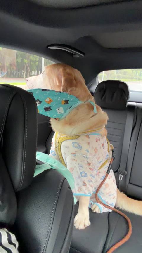 带仔仔出来洗澡
