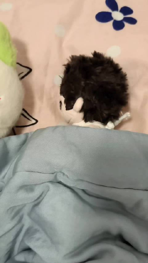 ee们，我到底要怎么睡觉嘛！？