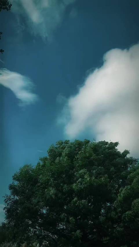 嘿嘿我不会拍这么好看的视频但是我的姐姐会呀 还是伸手适合我 比较快