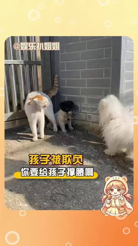孩子被欺负了，你要给孩子撑腰啊