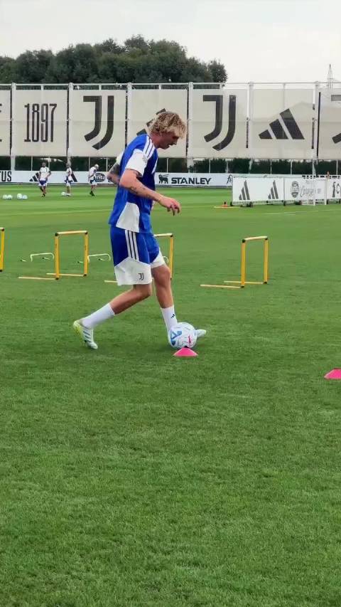 新人亮相