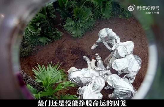 婚姻绝望瞬间，枕边人突然念广告词