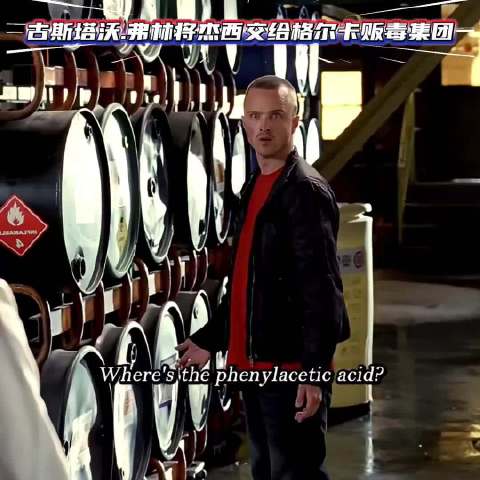 古斯塔沃.弗林将杰西交给格尔卡贩毒集团