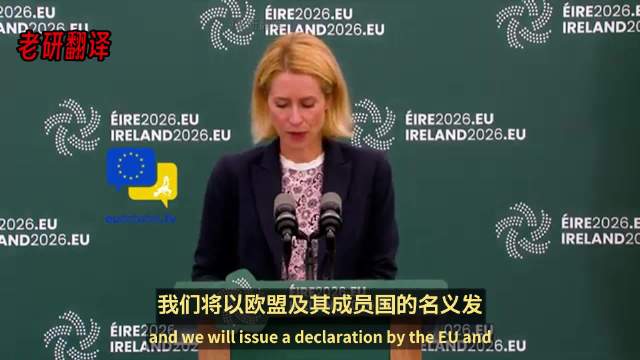 欧盟关注霍尔木兹海峡红海局势，通过军事行动保障航运