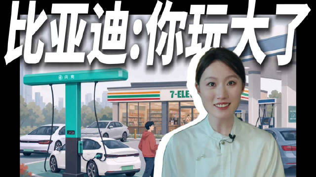 和中石油、中石化 对手变队友 “能源”这张桌子 比亚迪也能先动筷了
