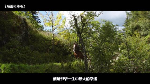 海蒂被姨妈为钱财骗走，爷爷哭得像个孩子