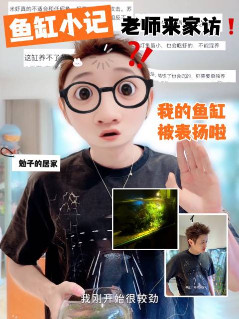 鱼缸 鱼缸造景