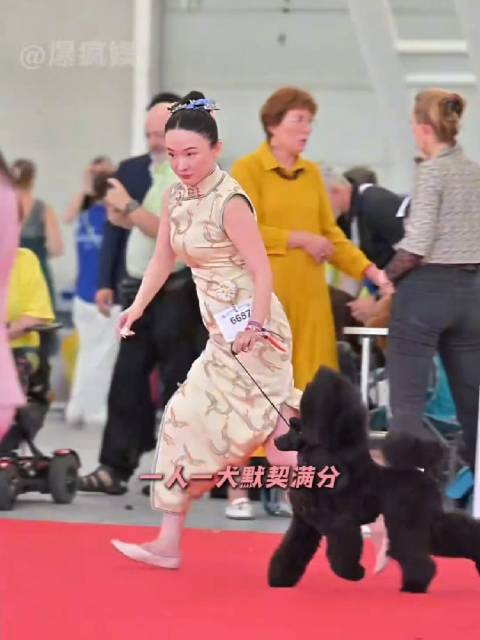 霍思燕人美心善，养的狗都这么争气，她的每一条狗狗名字都好好听！