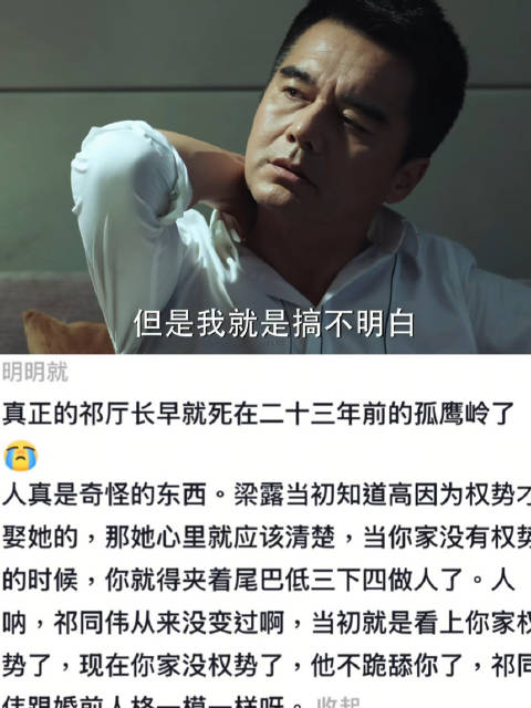 做好你的东宫正室 人民的名义 祁同伟 梁璐 好剧推荐