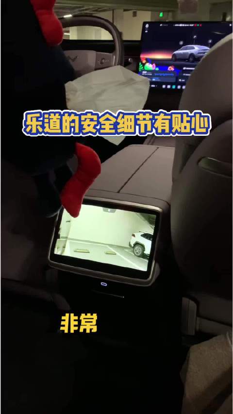 乐道的车内安全影像有多贴心