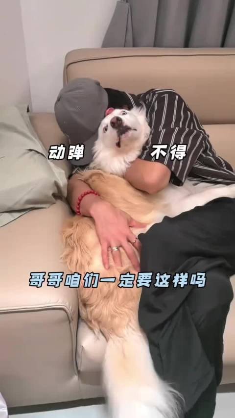 陈哲远超话，保持独特光芒温柔坚定