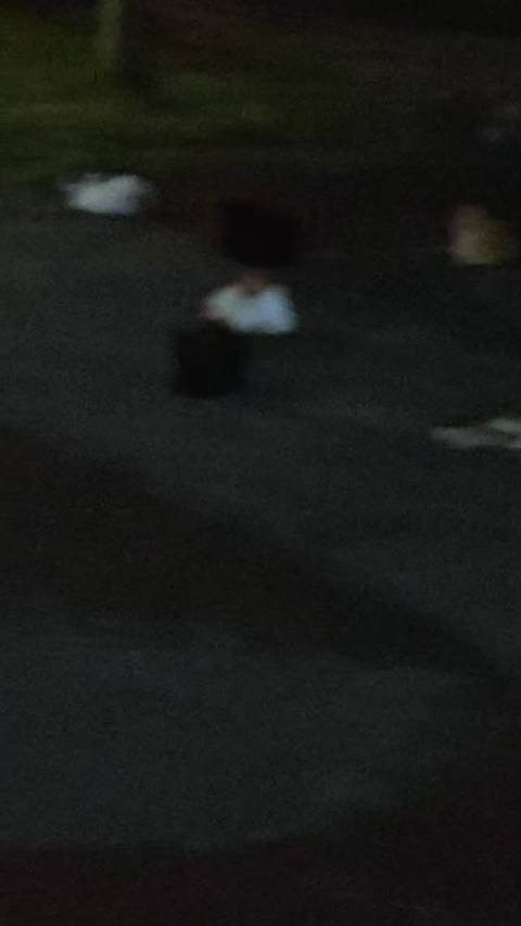 开学返校遇猫咪，陈立农超话分享治愈瞬间