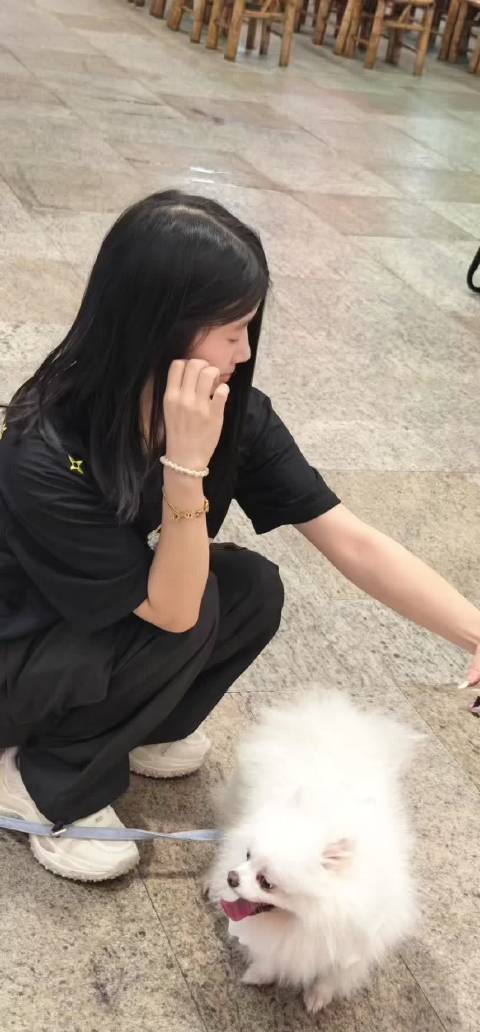 은호는 화해하지 않았다