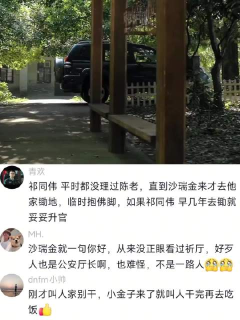 祁同伟与沙瑞金仅有两次对话的会面