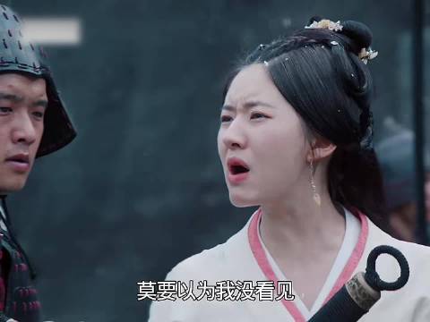 文帝设下苦肉计，让凌不疑挨板子，测试少商内心， 星汉灿烂｜赵露思｜吴磊