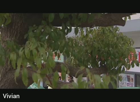 第3集cut2 杨紫 /孙权 井柏然 /小乔