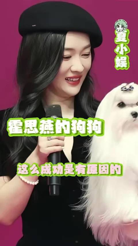 霍思燕和她的冠军狗狗：热爱，真的能变成专业