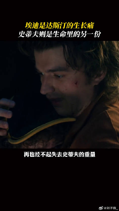 strangerthings 达斯汀