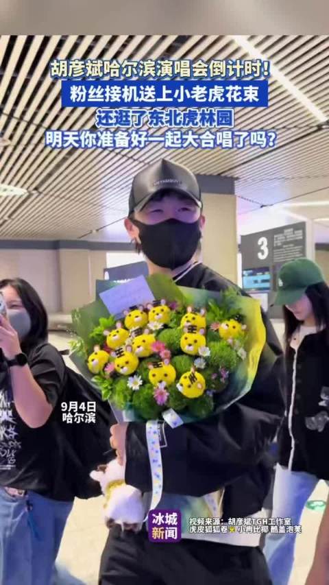 胡彦斌哈尔滨演唱会倒计时，粉丝接机送小老虎花束，逛东北虎林园