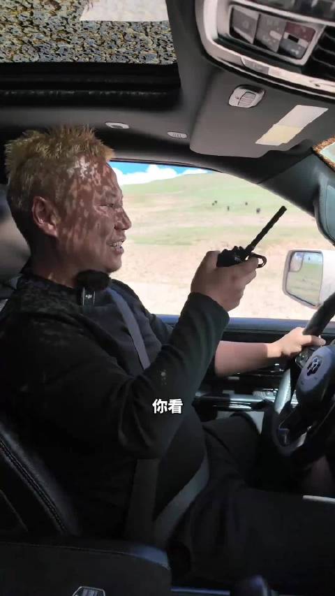 霸王龙营救牧马人，小菜一碟