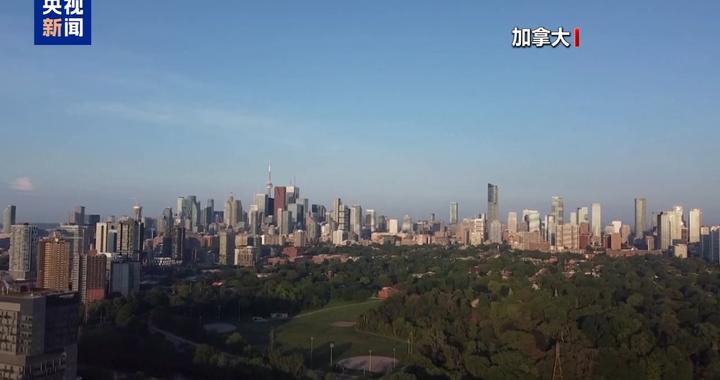 加拿大前副总理：一味退让换不来平等协议