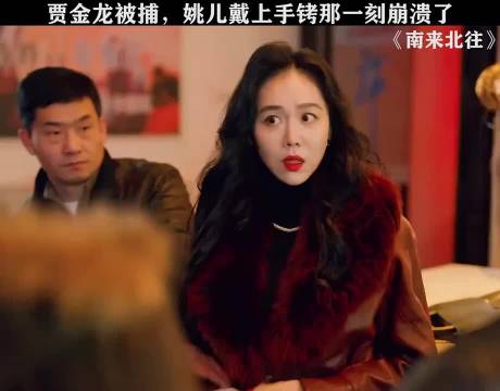 铁窗割影手铐轻响，贾金龙姚儿命运转折