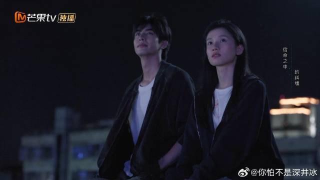 陈异向苗靖求婚成功，两人一起看烟花，结局圆满！