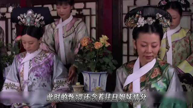 甄嬛传解说