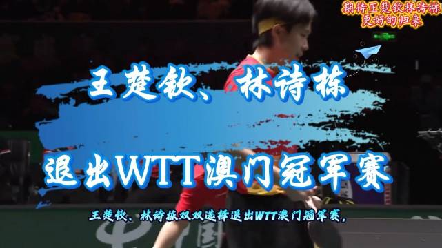 王楚钦、林诗栋因伤病接连退出WTT澳门冠军赛…