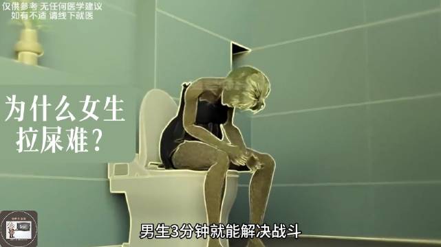 为什么女生“拉屎”比男生还难？有点冷的知识 Via兔老师科普