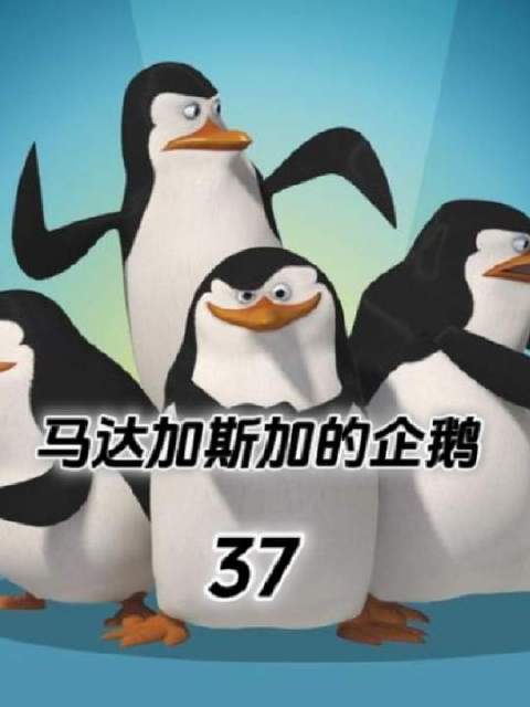 世界失序，马达加斯加的企鹅登场