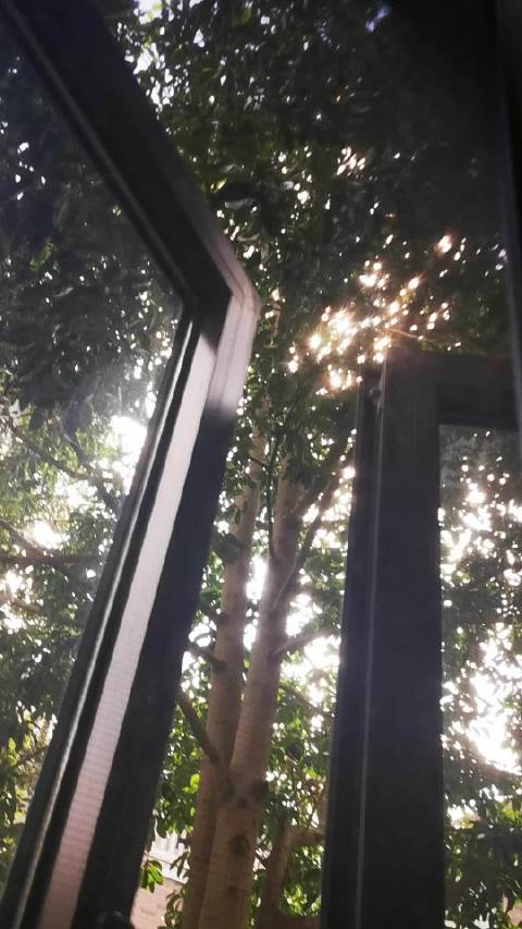 浙江的知了是这样叫的，应该是在做最后的告别吧，哈哈哈哈哈哈哈