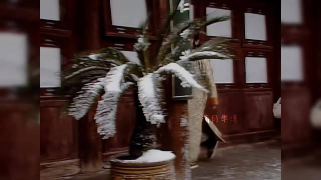 笑死！同是贾宝玉走路，老版矜贵优雅，新版像个街溜子哈哈