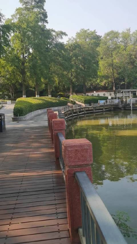 初秋东湖绿道经历跳东湖喧哗后恢复生机