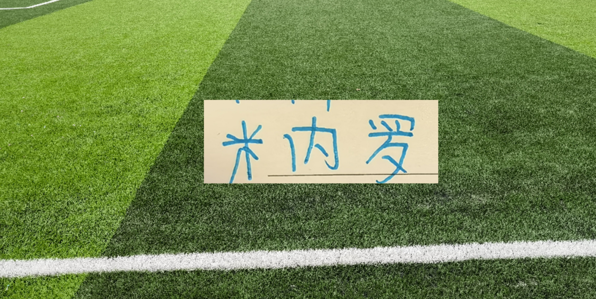 年底都到期！ 为什么申花非要提前3个月解约米内罗