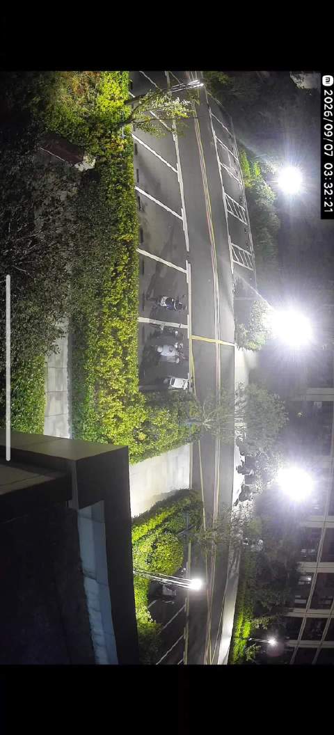 纳姓猫越狱两小时后自行归家，反复进出单元楼敲邻居门