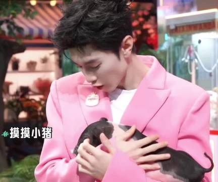 陈哲远台上自称猪猪王，镜头一转安静陪小猪玩