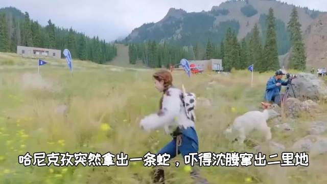 哈尼克孜突然拿出一条蛇，吓得沈腾窜出二里地，笑疯金晨白敬亭！
