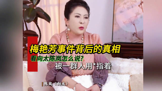 听向太陈岚讲述梅艳芳事件背后的真相