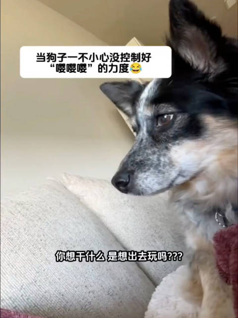 这刘耀文要把我笑死
