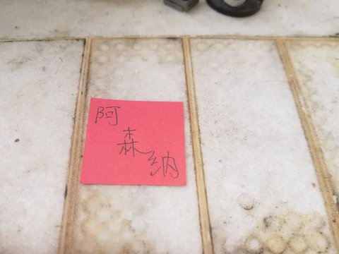 阿森纳球迷对切尔西标王说应加盟豪门